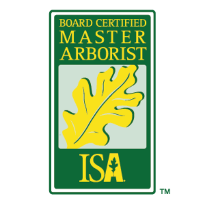 Board Certified Master Arborist certification logo from ISA, featuring a yellow oak leaf on a green background, symbolizing expertise in tree care and health.