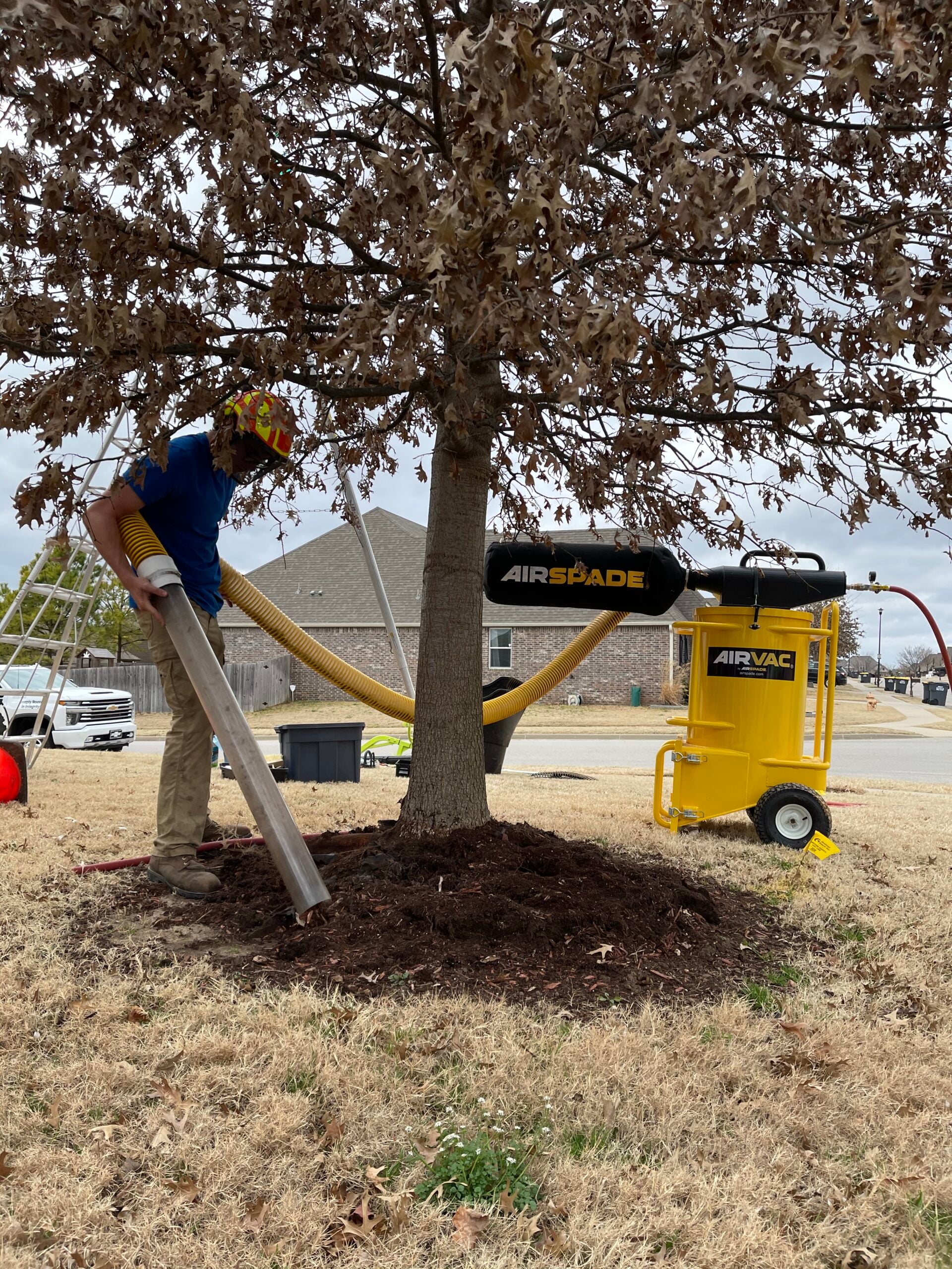 Arborist using AirSpade tool for soil aeration around tree roots, promoting tree health and longevity, with mulch and equipment visible in residential setting.