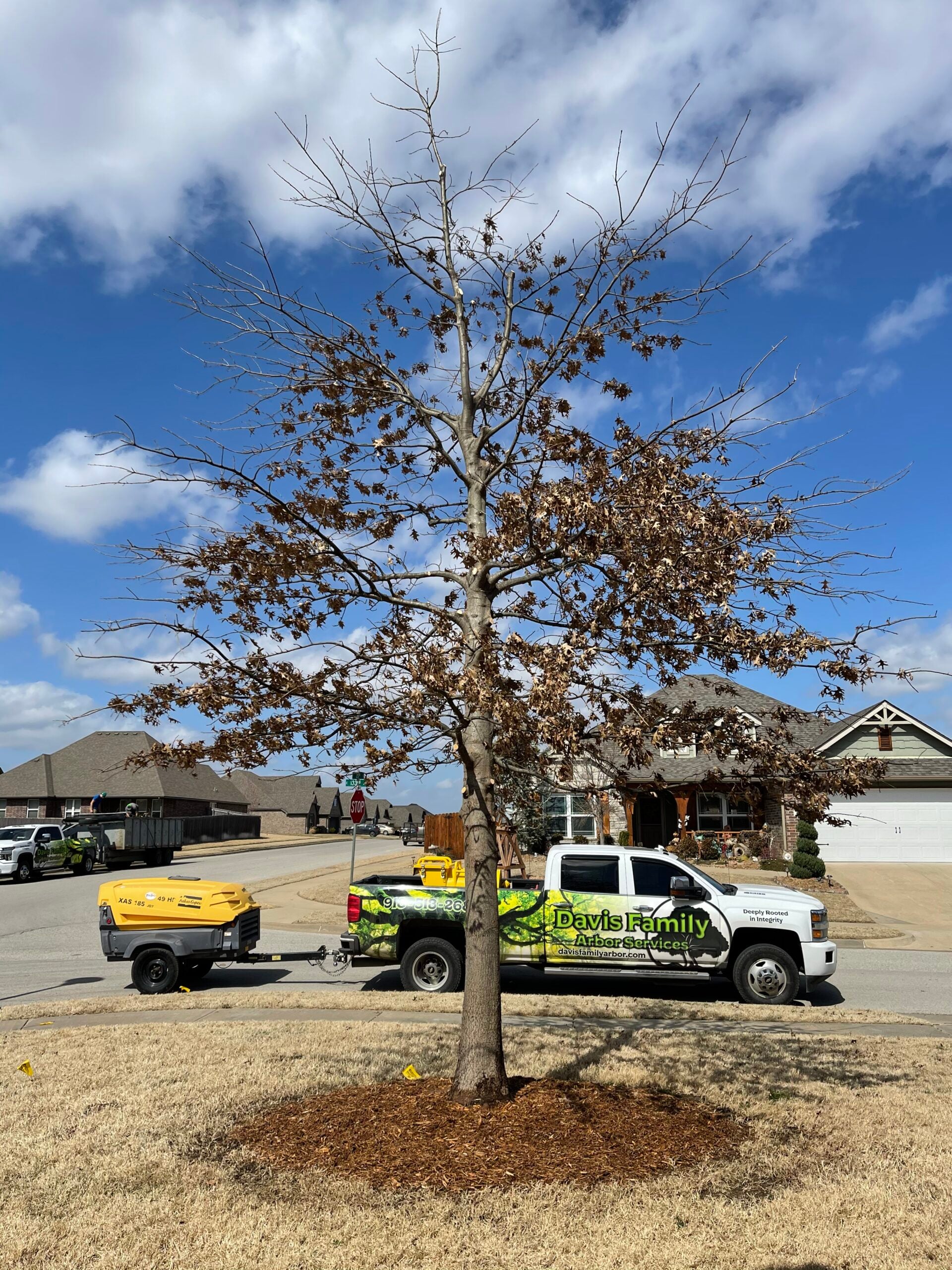 Tree with sparse leaves and brown foliage, Davis Family Arbor truck parked nearby, residential neighborhood setting, emphasizing tree care and consulting services.