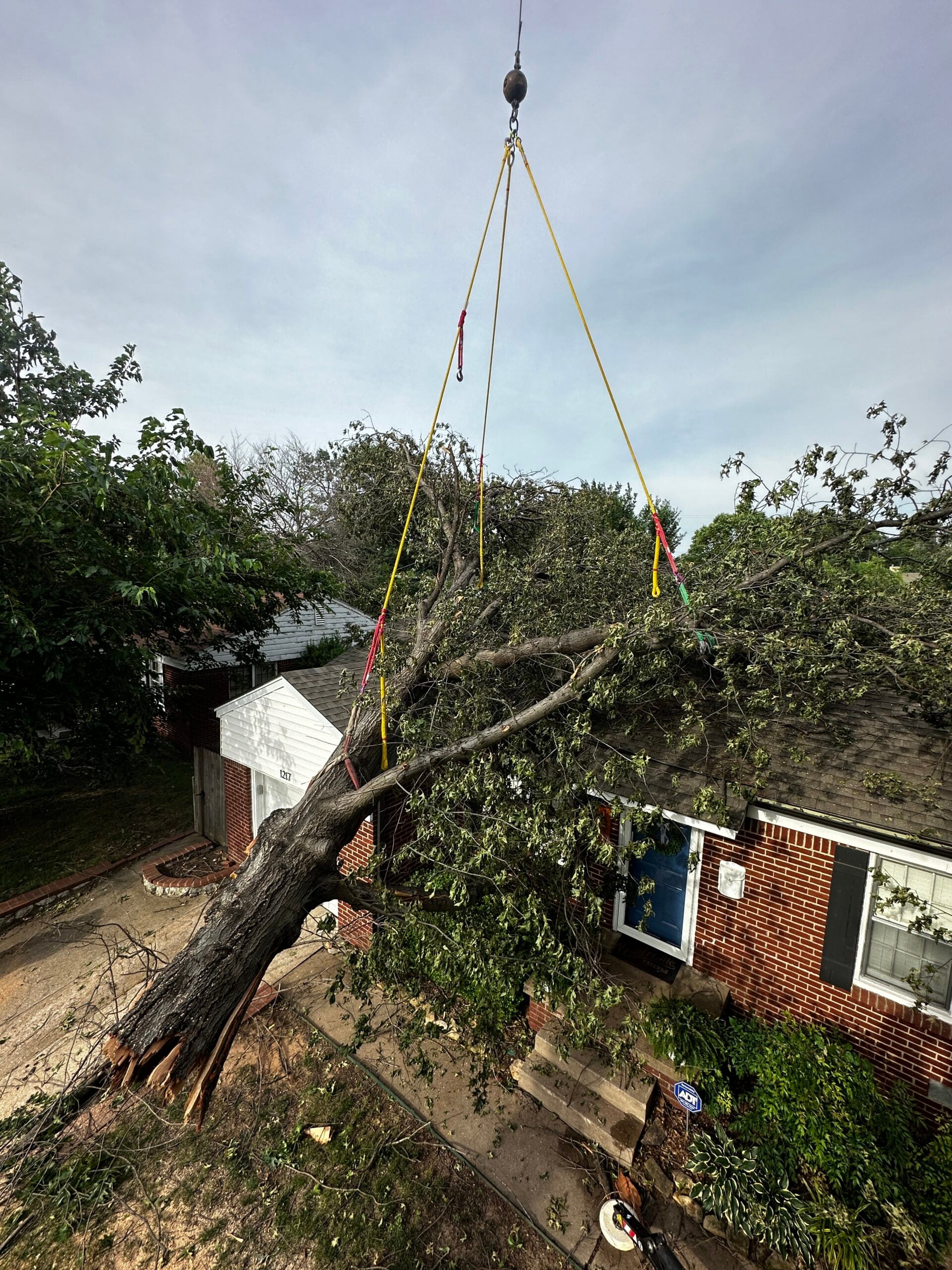 Tree being removed from residential property using a crane, showcasing the importance of professional tree care and risk assessment services by Davis Family Arbor.