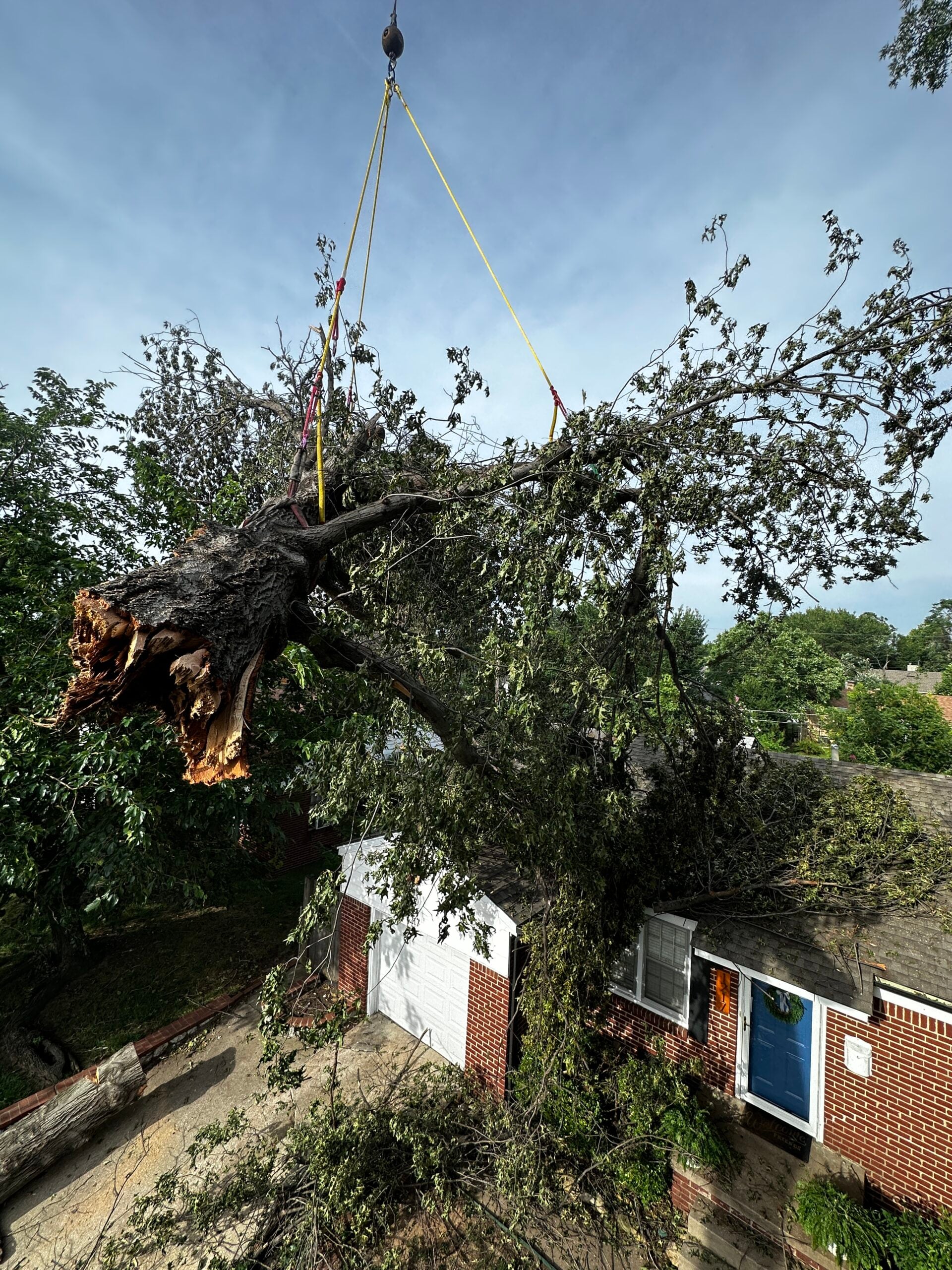 Tree removal in progress with a large branch being hoisted above a residential home, showcasing the importance of professional tree care and safety.