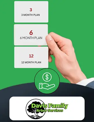 Tree service financing plans