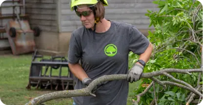 Tree Risk Assessments