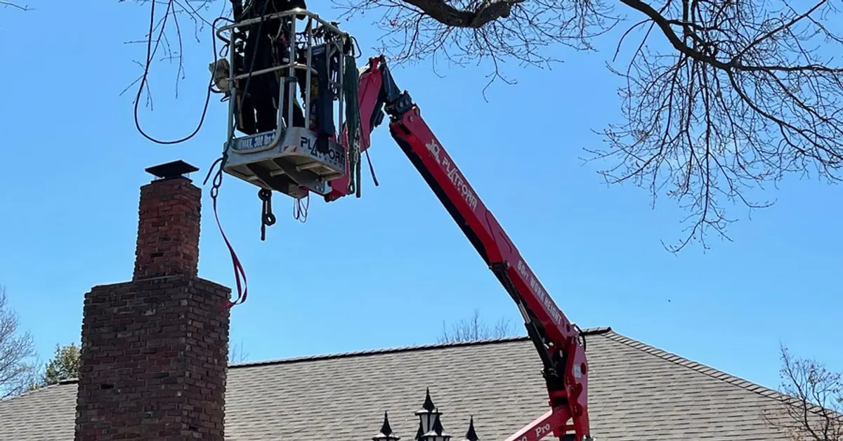 Aerial lift raising an arborist to a bare limb hanging over a brick chimney and roof
