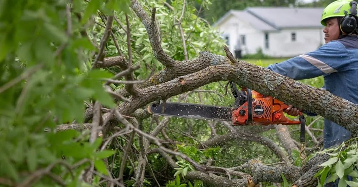 Crew member in a helmet and ear protection cutting a fallen branch with a chainsaw