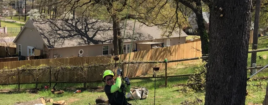 Climber suspended by ropes in a tree, smiling, above a fenced residential backyard