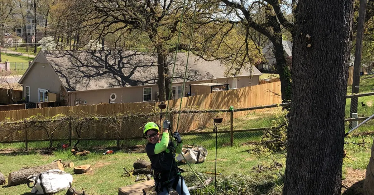 Climber suspended by ropes in a tree, smiling, above a fenced residential backyard