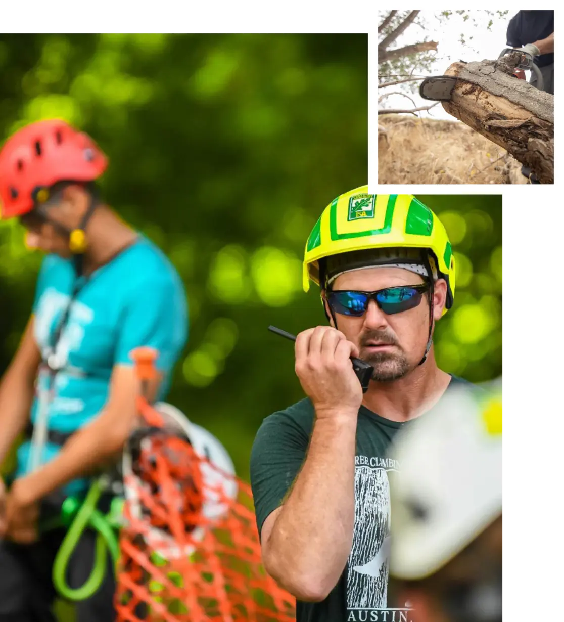Tree climbing arborist in helmet and sunglasses speaks into a radio, with an inset photo of an arborist making a precision cut on a large limb