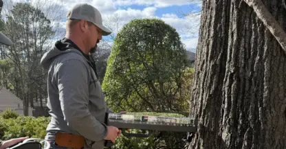 Arborist taking a resistance drill reading on the trunk of a large tree