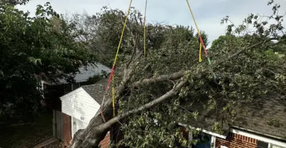 Crane lifts a storm-fallen tree off the roof of a brick house during emergency tree removal