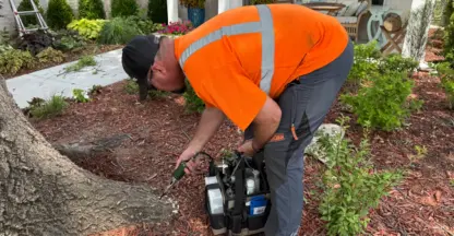 Worker applies a trunk injection treatment at the base of a tree in a front yard